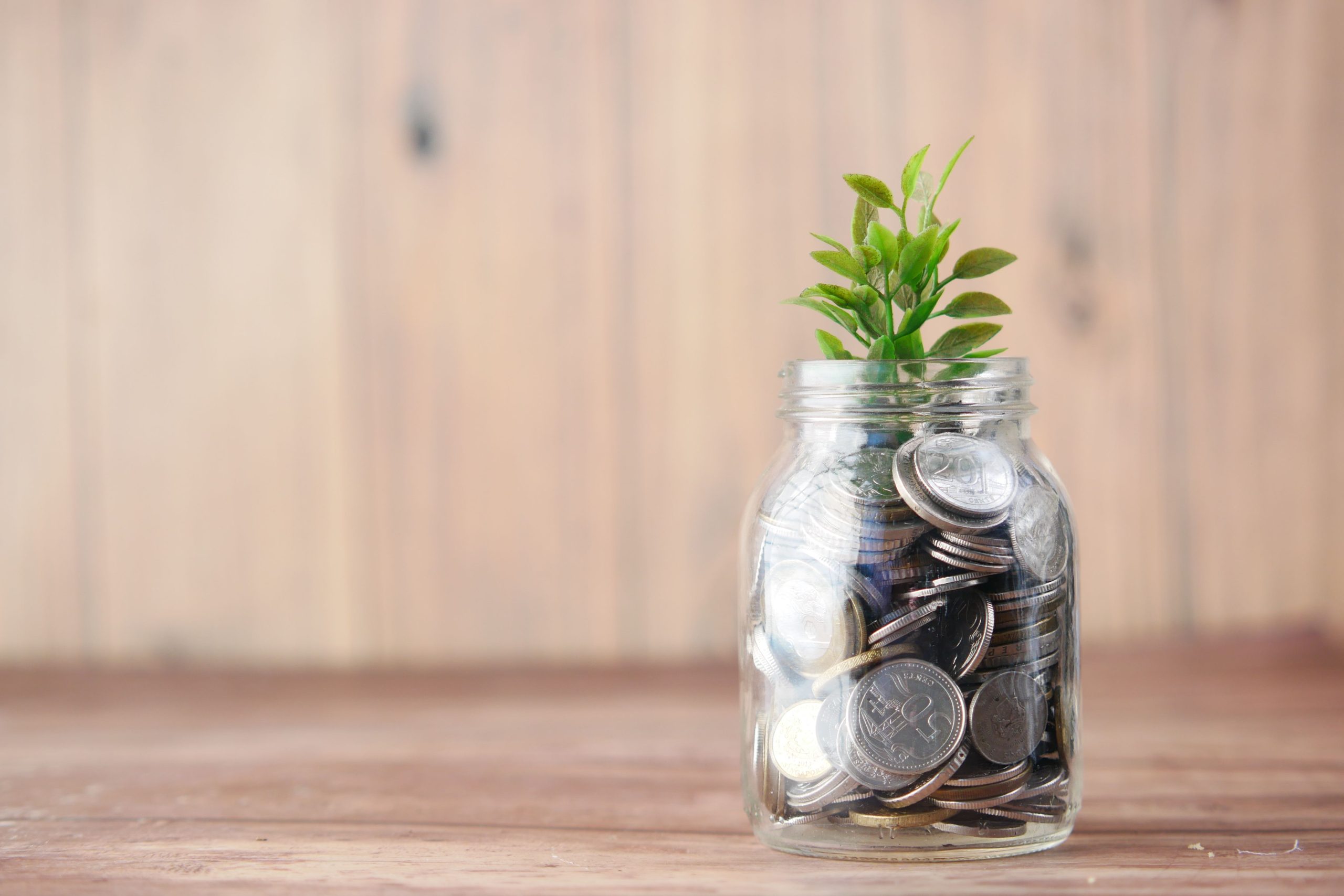 finance coins plant growth